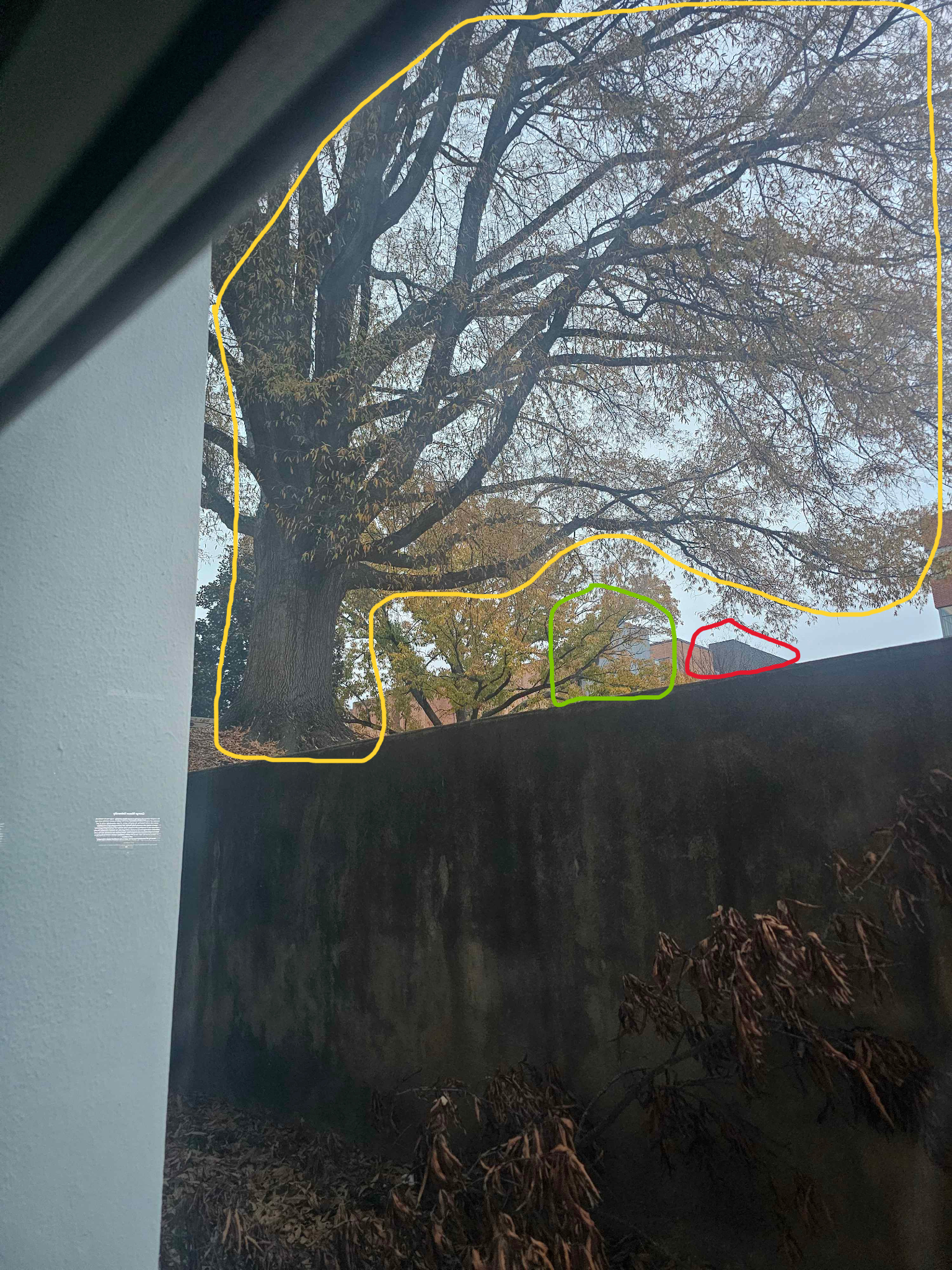 Determining capture building