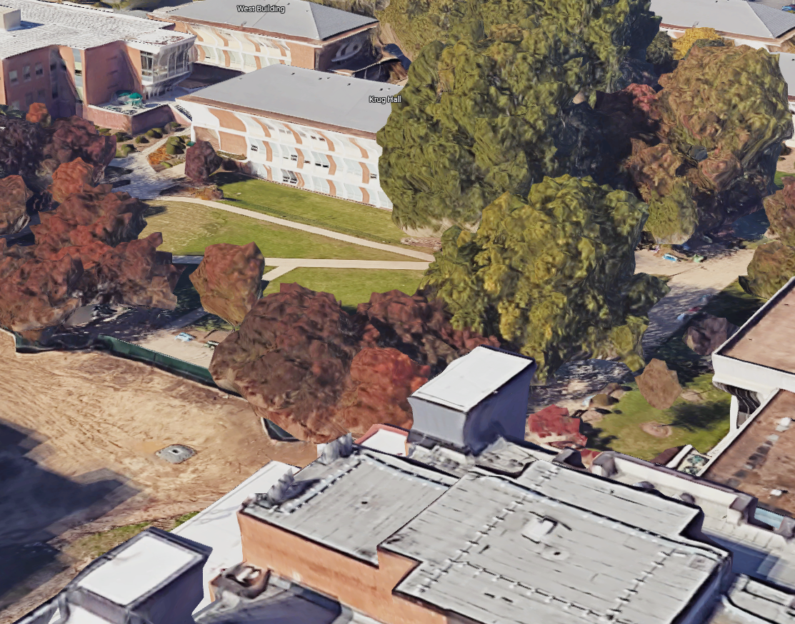 Success confirmation